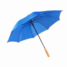 blue Umbrella